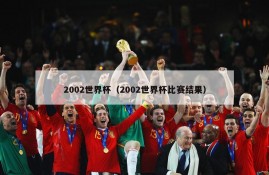 2002世界杯（2002世界杯比赛结果）